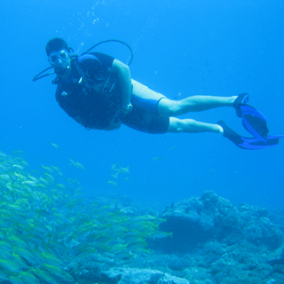 Tropical Diving Kenya Diver