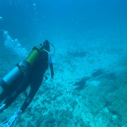 People diving