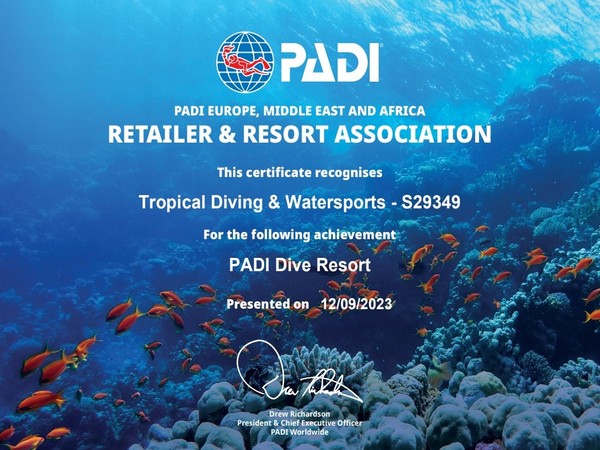tropical diving