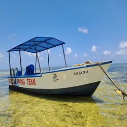 Tropical Malaika Boat