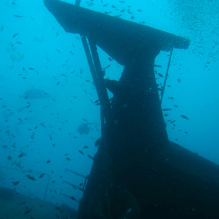 Tropical Diving Kenya Wreck